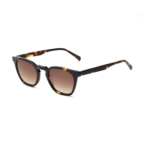 Page XL - Brown Tort w/ Brown Gradient Lens