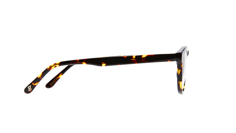 Page - Brown Tort Optic