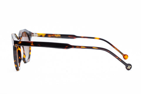 Cage - Brown Tort