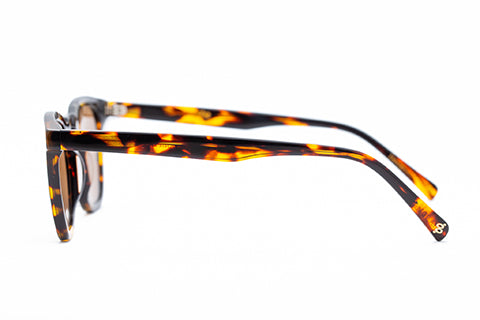 Page L - Brown Tort Polarized