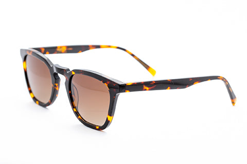 Page L - Brown Tort Polarized
