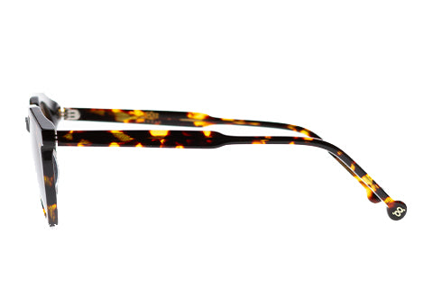 Cage - Brown Tort w/ polarized
