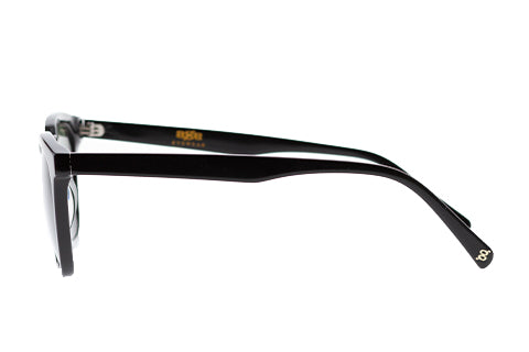 Page L - Black Polarized
