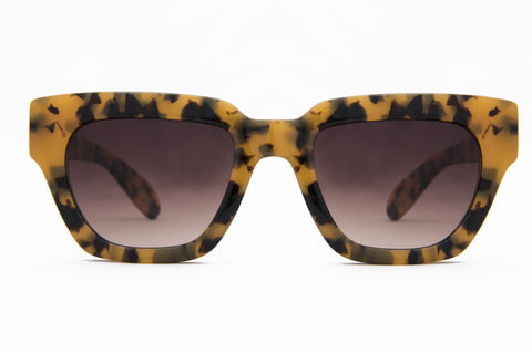 Gage - Fromage Tort - AgeEyewear