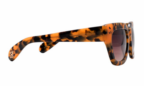 Gage - Fromage Tort - AgeEyewear